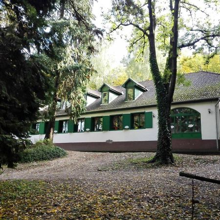 Feherkolapa Turistahaz Panzio Lillafüred Eksteriør bilde