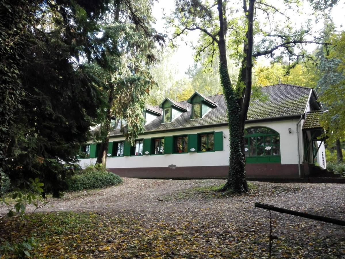 Feherkolapa Turistahaz Panzio Lillafüred Eksteriør bilde