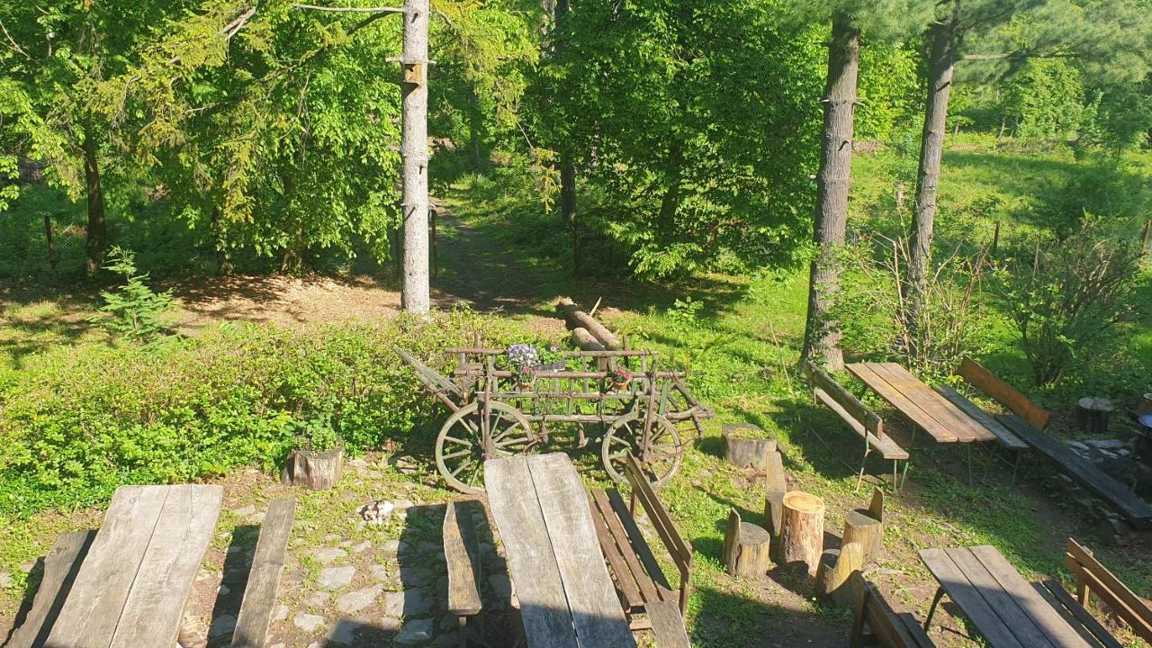 Feherkolapa Turistahaz Panzio Lillafüred Eksteriør bilde