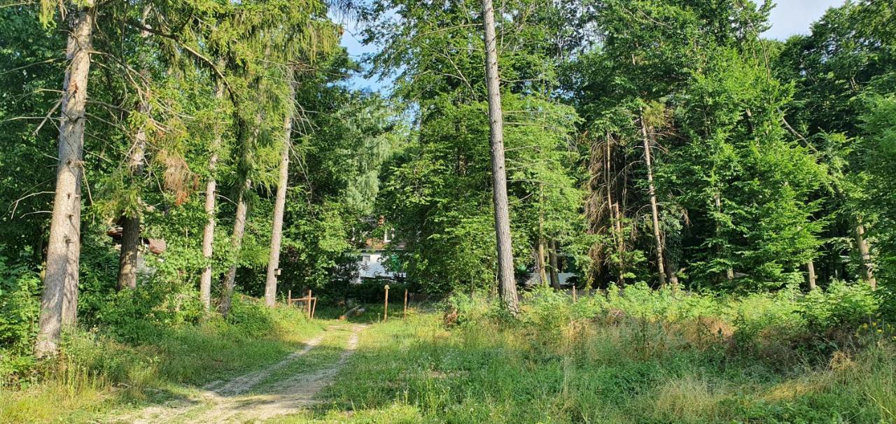 Feherkolapa Turistahaz Panzio Lillafüred Eksteriør bilde