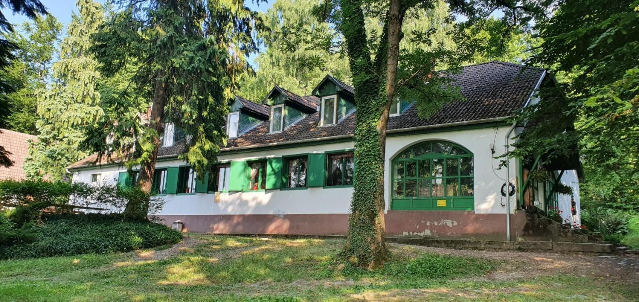 Feherkolapa Turistahaz Panzio Lillafüred Eksteriør bilde